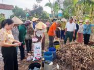 Hội Nông dân xã Nghĩa Đàn hướng dẫn ủ phân hữu cơ vi sinh tại xóm Bình Hạnh